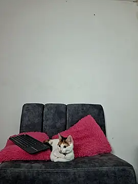 Mia fox29 online show from 13, 11, 2025