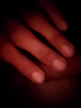 tomdear online show from 2, 12, 2025