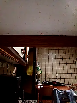 Morenitorico01 online show from 6, 11, 2025