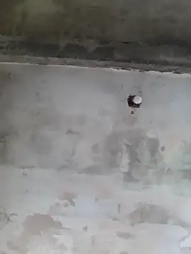 AlanMargin online show from 8, 11, 2025