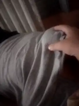 pampa4456 online show from 23, 11, 2025