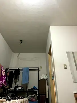 transnovata065 online show from 1, 11, 2025