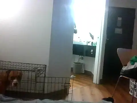 TheRealKnottiHead online show from 27, 10, 2025