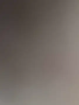 WildNour online show from 16, 11, 2025