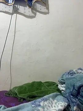 WildNour online show from 5, 12, 2025