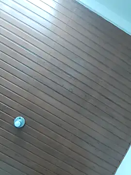 SiennaBite online show from 29, 11, 2025