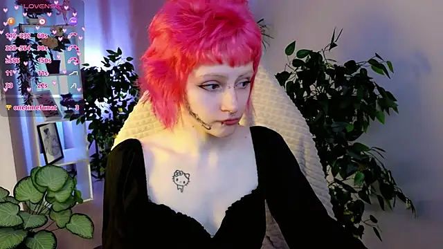 karkadeshk online show from 9, 4, 2026