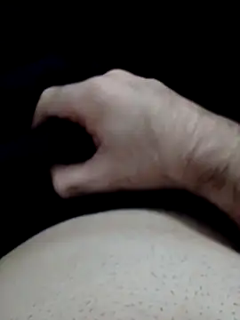 fe96 online show from 11, 11, 2025