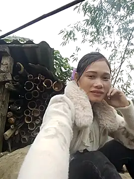 doggy-00 online show from 17, 12, 2025