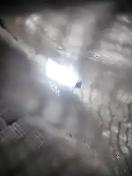 Lana-murr online show from 6, 11, 2025