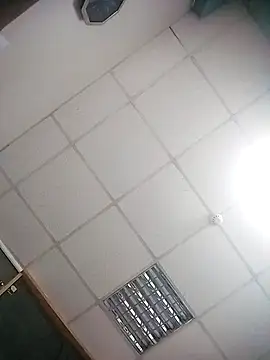 Lana-murr online show from 1, 11, 2025