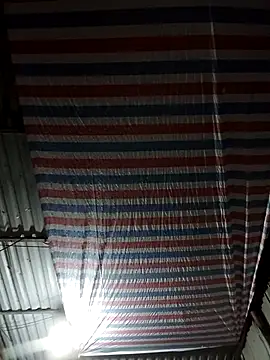 bella-la online show from 29, 10, 2025