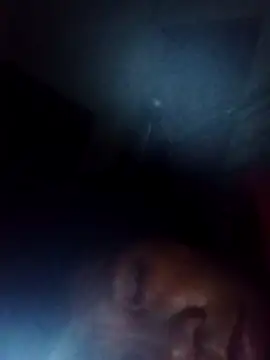 bella-la online show from 22, 11, 2025