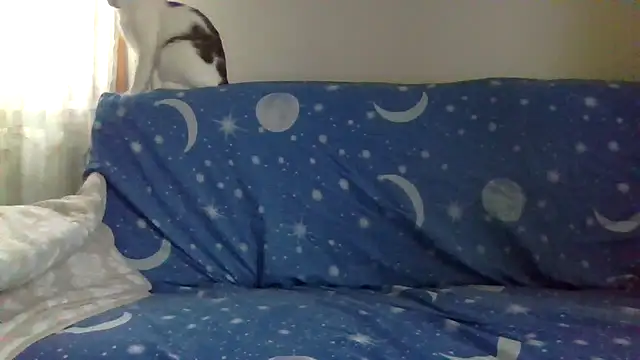 4clarissa online show from 31, 10, 2025