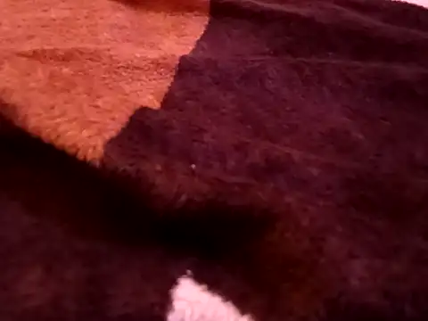 bigtelugubhama online show from 7, 2, 2026