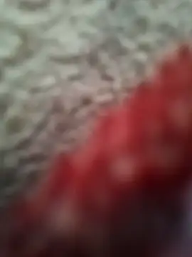 bigtelugubhama online show from 8, 2, 2026