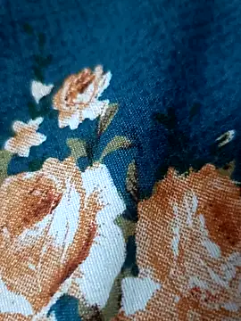 bigtelugubhama online show from 17, 2, 2026