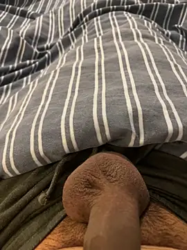 CurvyDicky8 online show from 13, 11, 2025