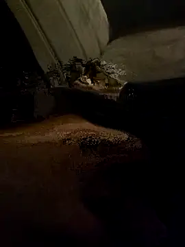 centro6891 online show from 31, 10, 2025