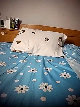 BD 228 online show from 9, 4, 2026