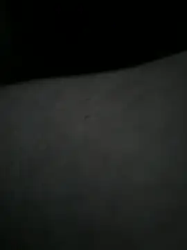 EchoVibe 86 online show from 11, 3, 2026