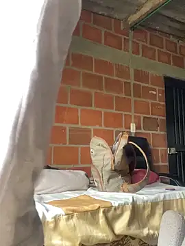 wild best online show from 27, 2, 2026