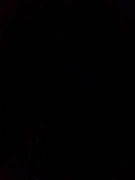 TN--KL online show from 14, 11, 2025