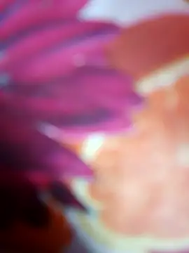 Laal Parilove online show from 9, 11, 2025