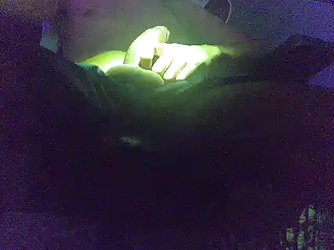 analice32456 online show from 3, 3, 2026