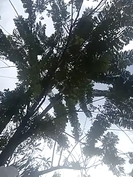 Snapshot of Camila-Valverde chatting on 31, 1, 2026 Camila-Valverde online show from 31, 1, 2026