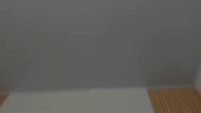 little emiily  online show from 19, 1, 2026