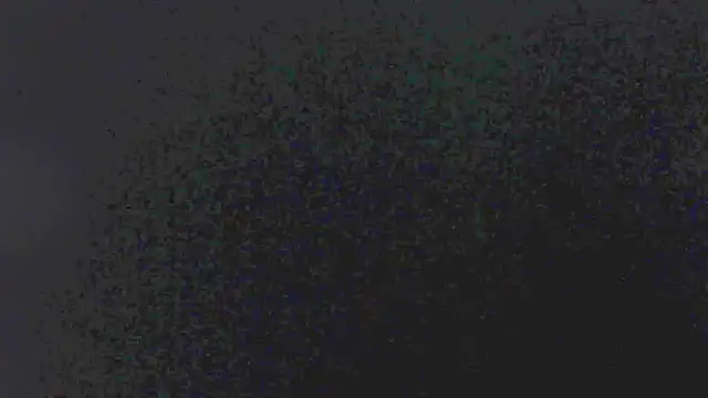 little emiily  online show from 5, 11, 2025