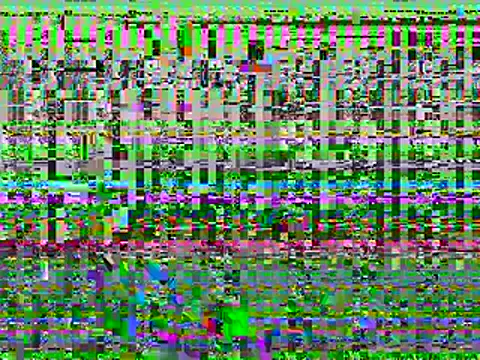 Dyskizly online show from 22, 2, 2026