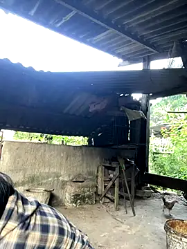 heodat-sexx online show from 27, 11, 2025