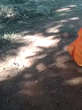 Anju setty online show from 8, 11, 2025