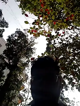 playboy210600 online show from 6, 2, 2026