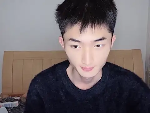 N228 online show from 7, 11, 2025