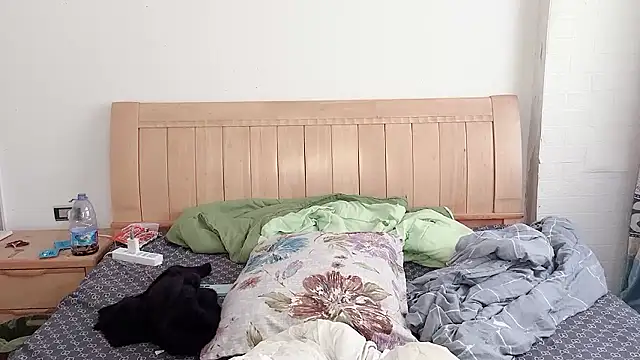 N228 online show from 5, 12, 2025