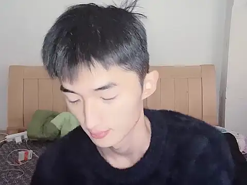 N228 online show from 12, 11, 2025