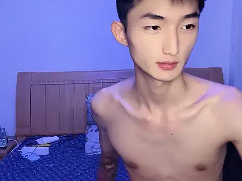 N228 online show from 10, 11, 2025