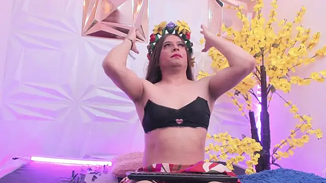 NovaNight  online show from 4, 11, 2025