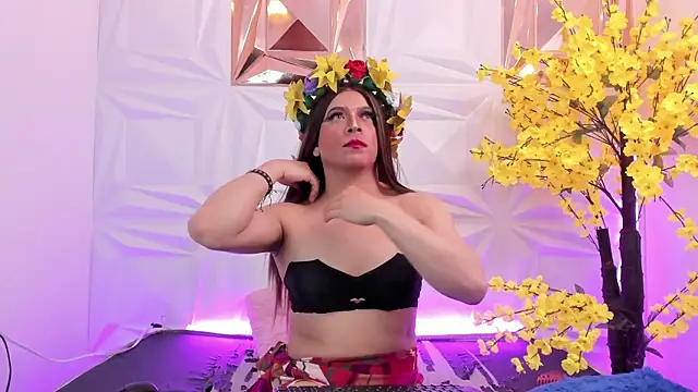 NovaNight  online show from 3, 11, 2025