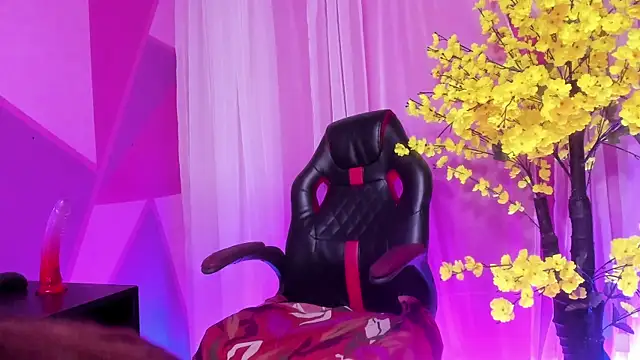 NovaNight  online show from 8, 1, 2026