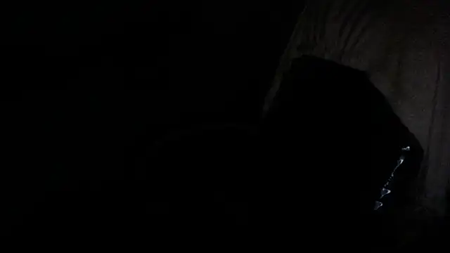 gygyfox online show from 21, 11, 2025