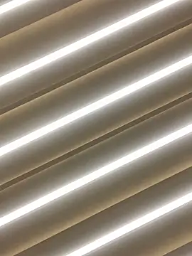 sabrinaneves online show from 11, 3, 2026