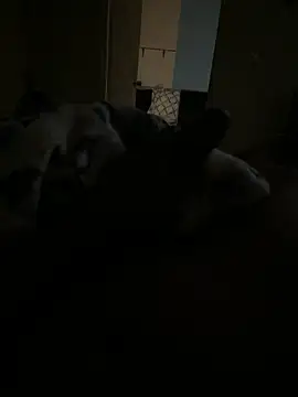 Trini2600 online show from 11, 11, 2025