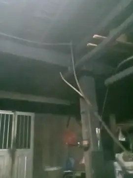 matbiec- online show from 19, 11, 2025