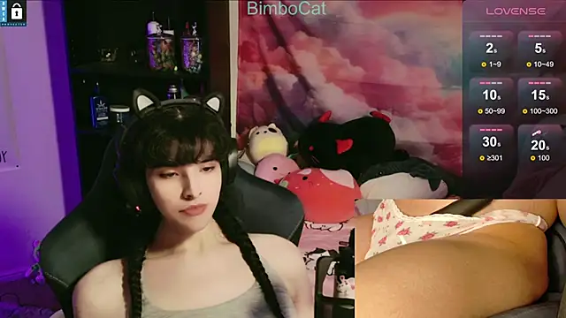 BimboCat online show from 15, 11, 2025
