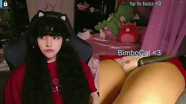 Snapshot of BimboCat chatting on 11, 6, 2026 BimboCat online show from 11, 6, 2026