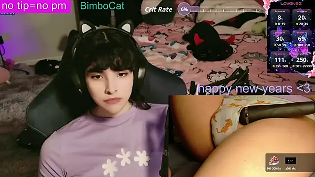 BimboCat online show from 7, 1, 2026
